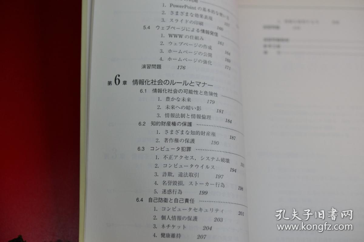 IT情报素养 日文原版 定价2800日元