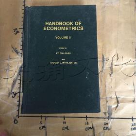 Handbook of Econometrics, Volume 2.