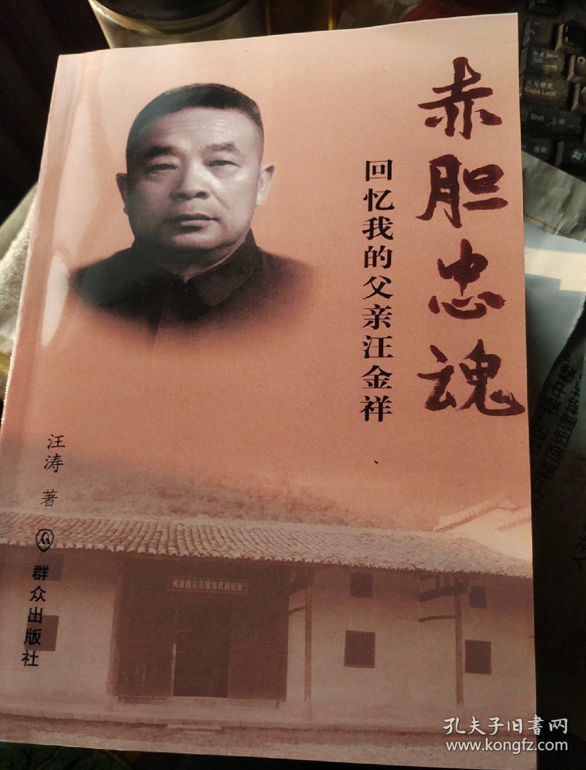 上海大案,上海大案续,上海大案纪实,中国重案1-4,6,赤胆忠魂-回忆我的