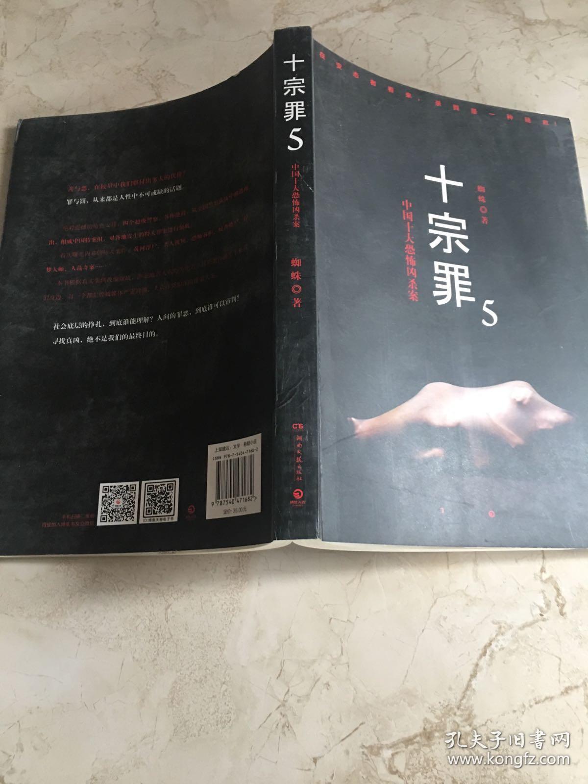 十宗罪5:中国十大凶杀案