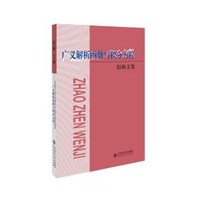 广义解析函数与积分方程