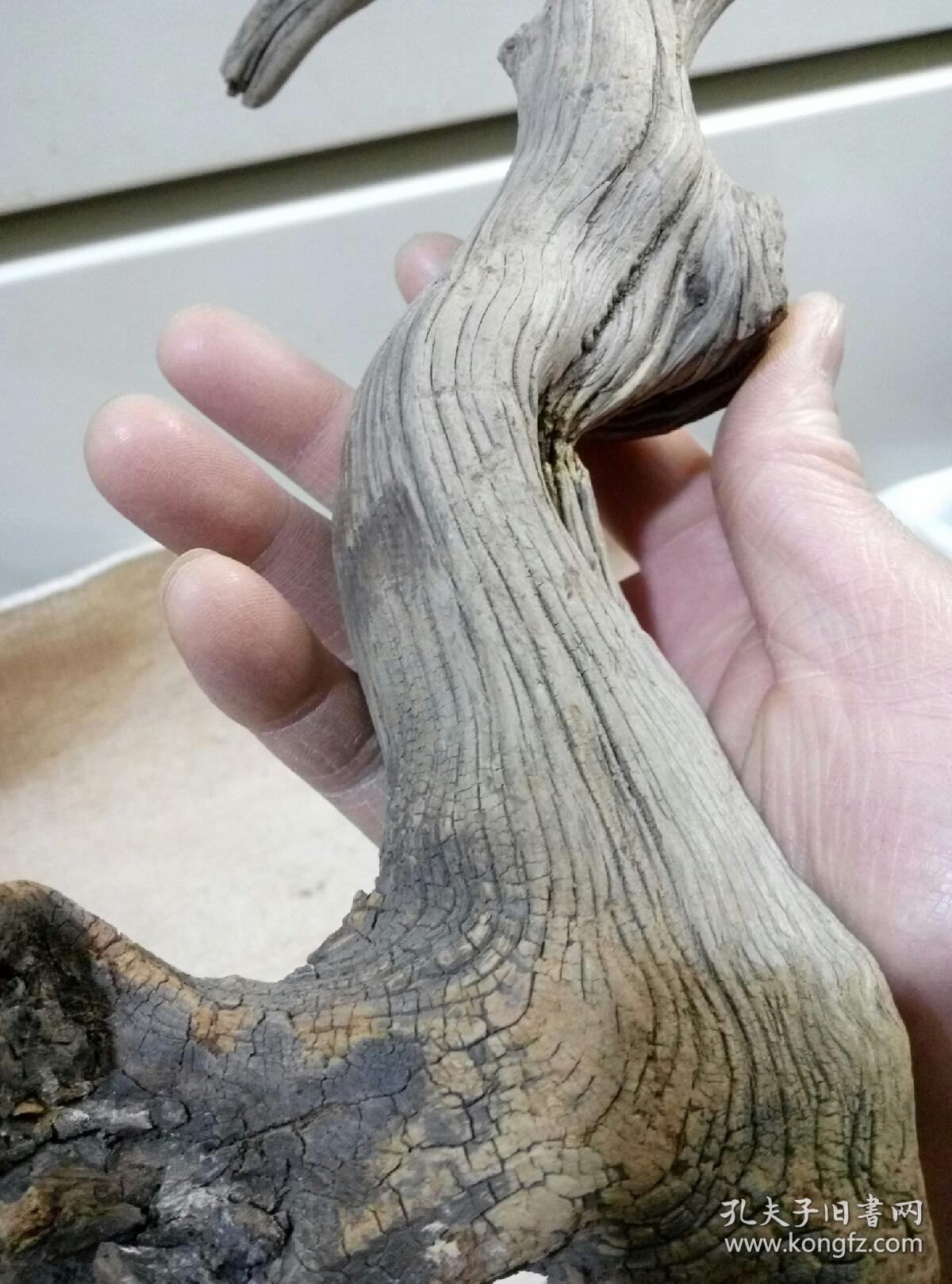 太行山陈化崖柏纹理摆件