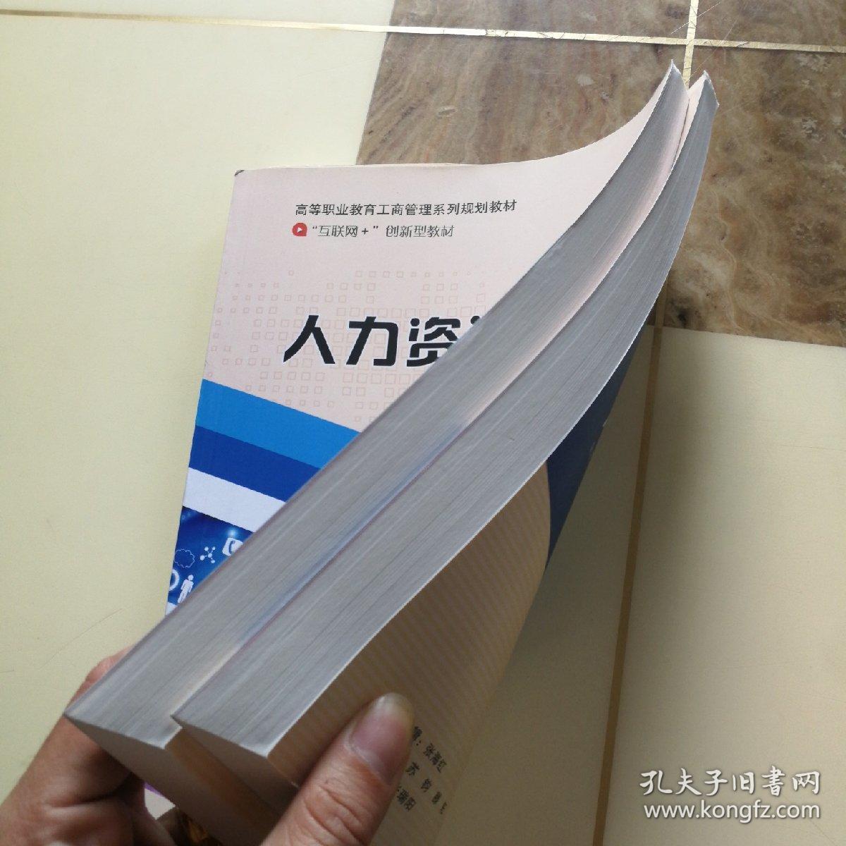 人力资源管理_王树印 编_孔夫子旧书网