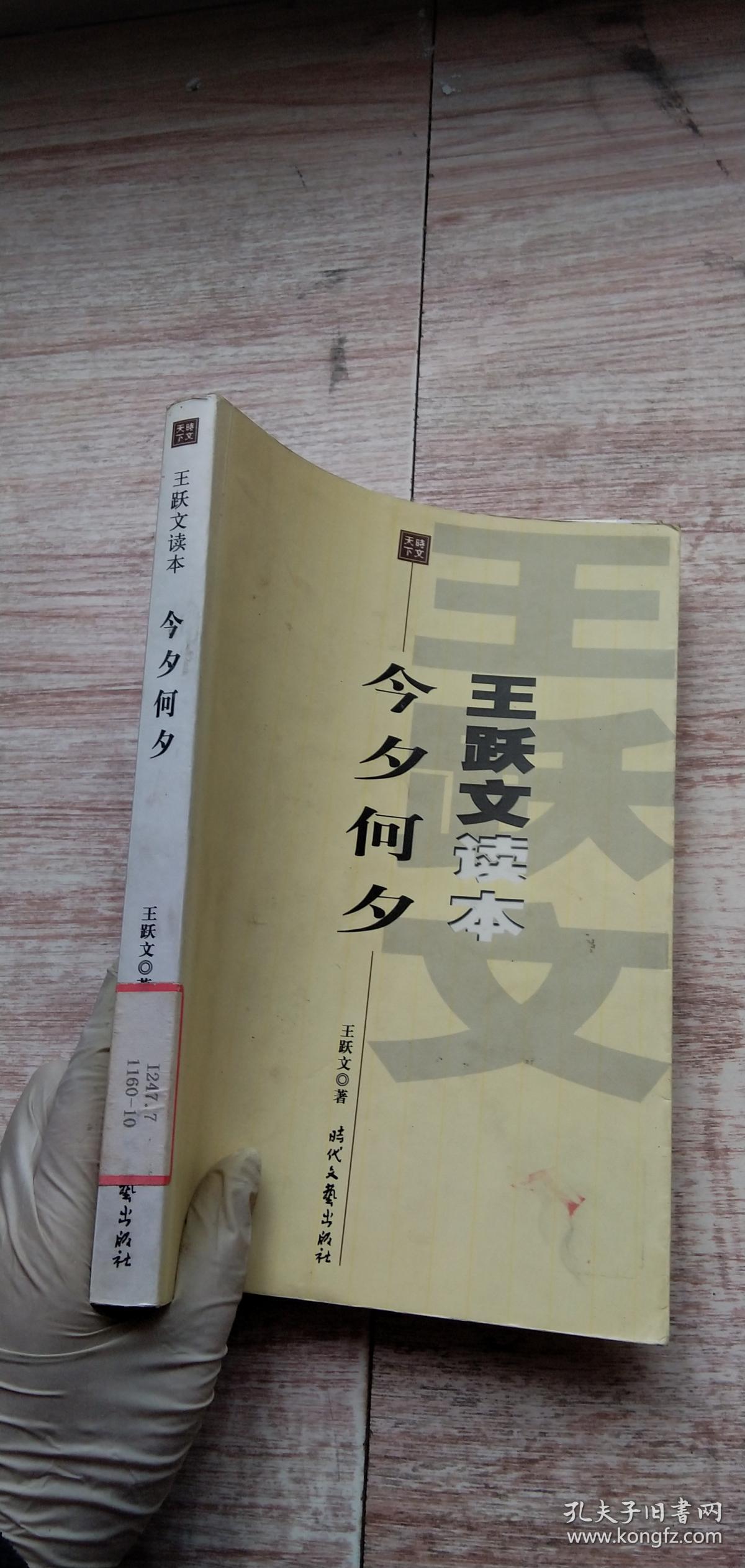 今夕何夕小说王跃文