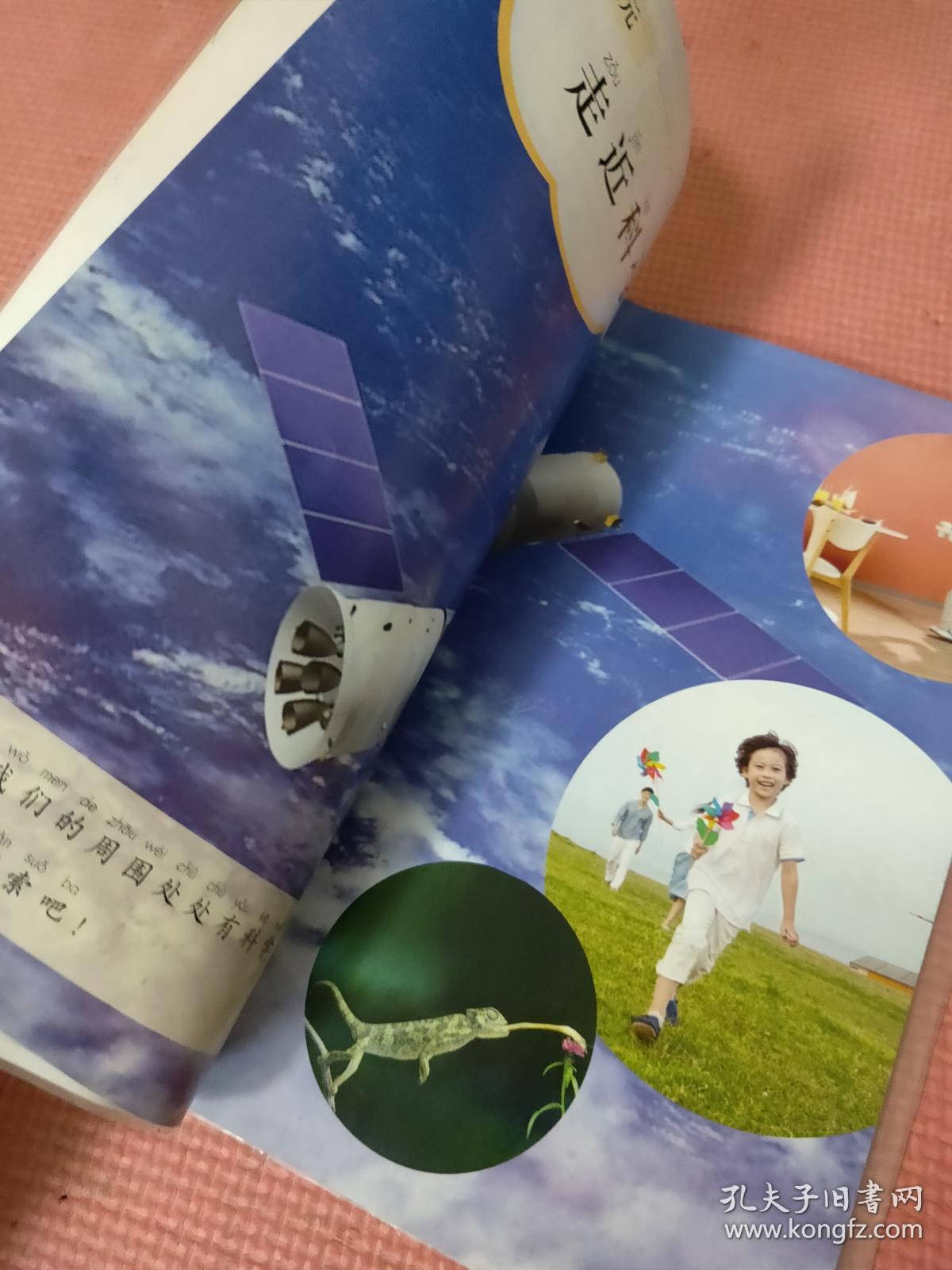 义务教育教科书科学一年级上册