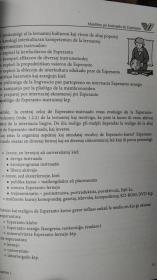 国际世界语教学手册