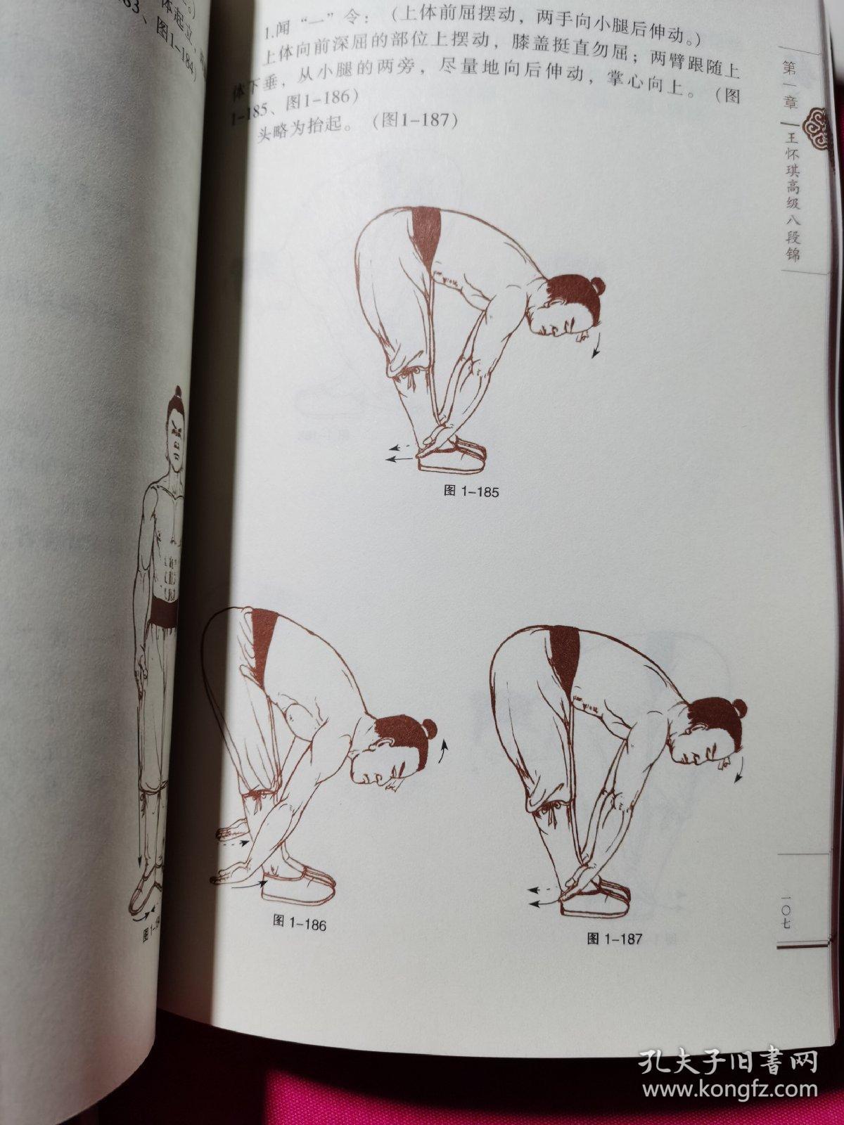 武术秘本图解丛书:武松拳谱秘本,甘凤池易筋经秘功,少