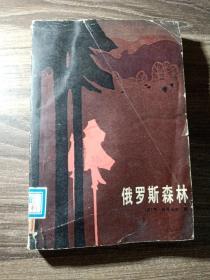俄罗斯森林 下