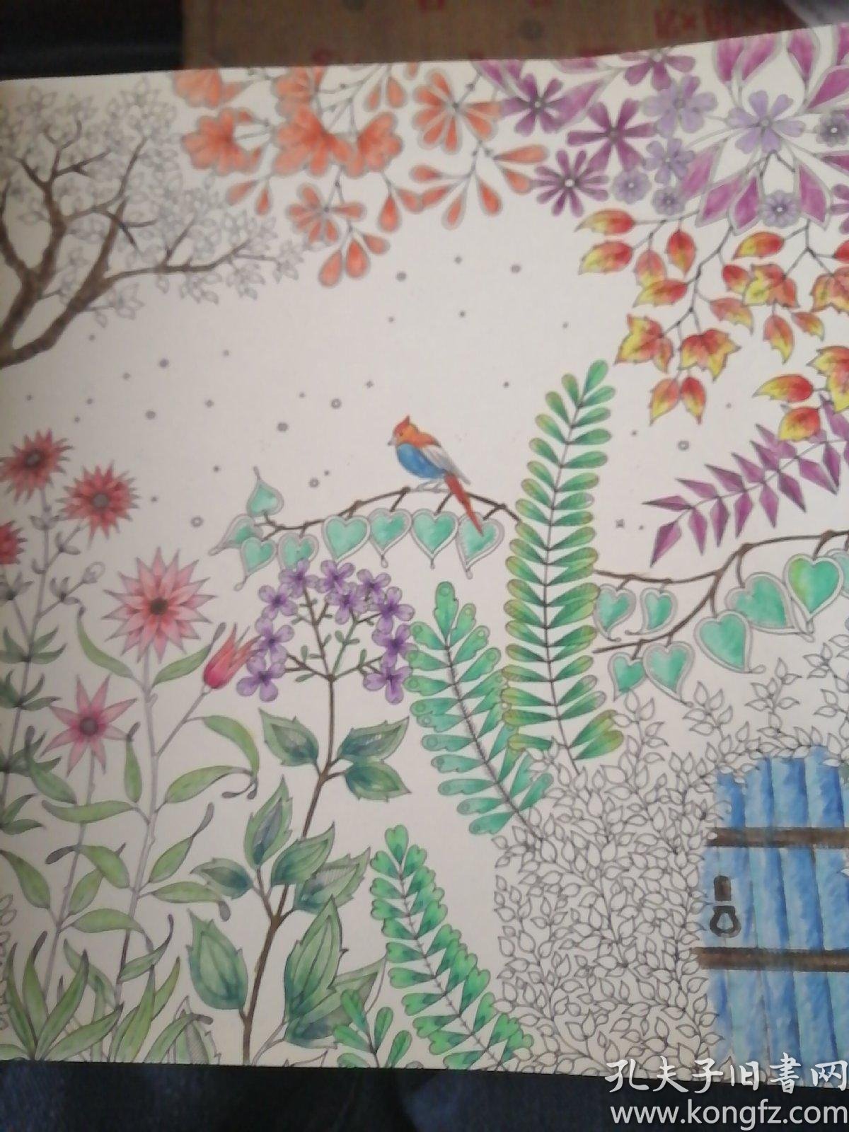 秘密花园:一本探索奇境的手绘涂色书