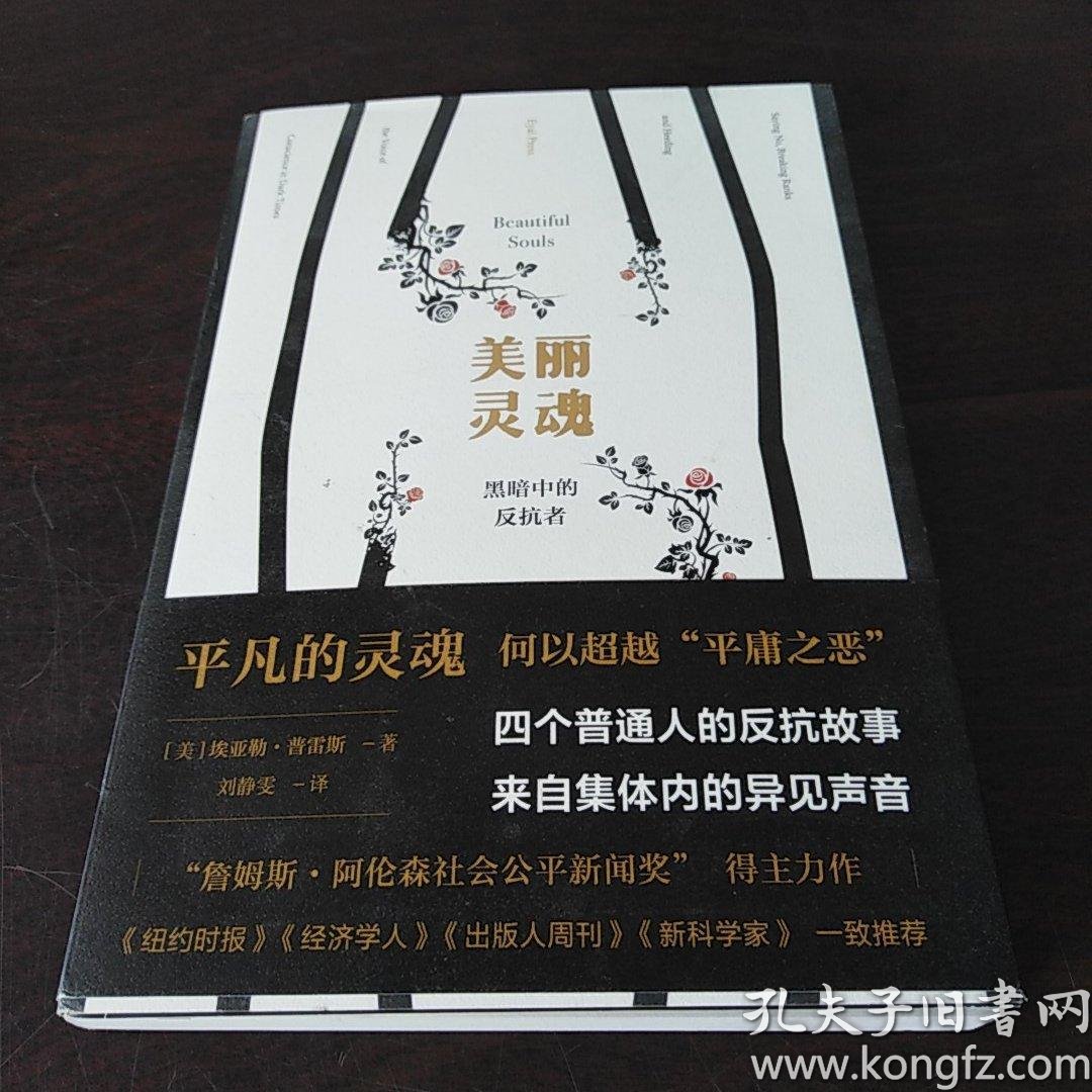 美丽灵魂:黑暗中的反抗者