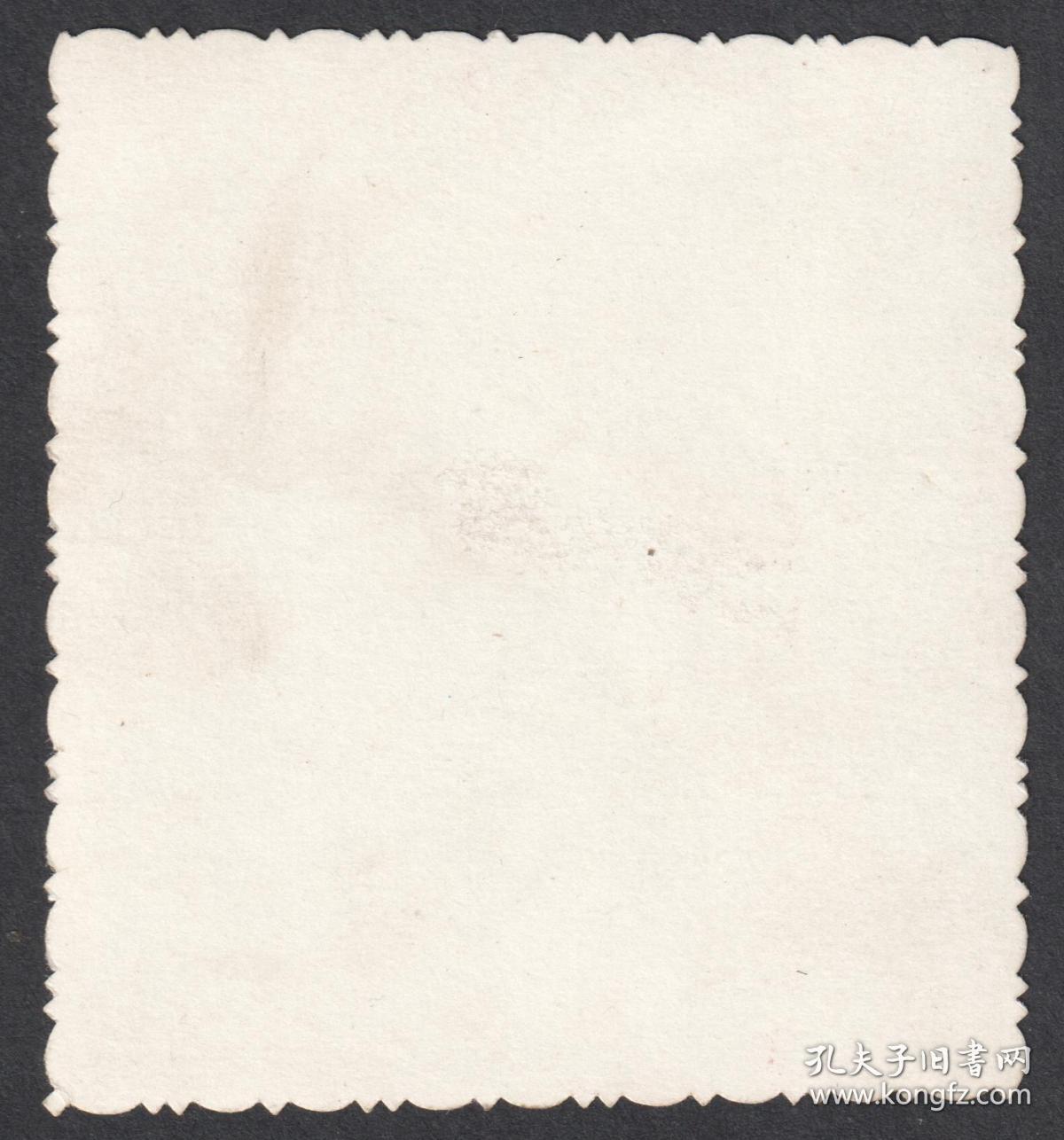 老照片院子里摇摆过一只悠闲的大白鹅定格的干校时光成都市五七干校