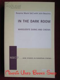 In the Dark Room: Marguerite Duras and Cinema（New Studies in European Cinema）在暗室：玛格丽特·杜拉斯和电影（欧洲电影新研究丛书 英语原版 平装本）