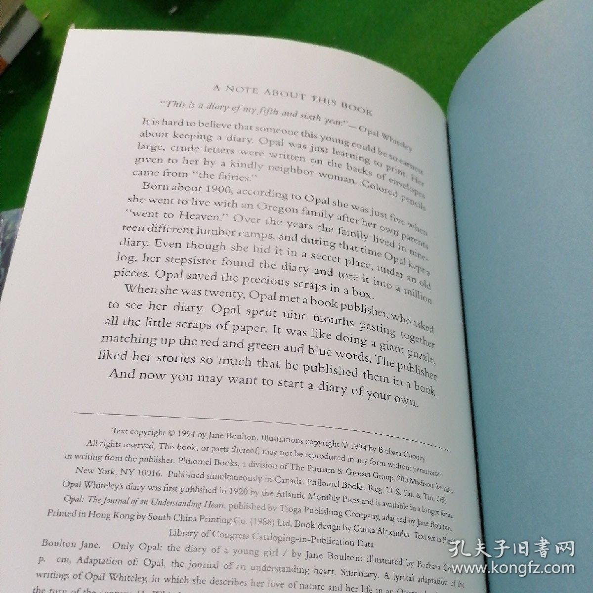 barbara cooney the diary of a young girt