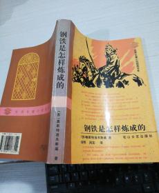 钢铁是怎样炼成的，品相如图