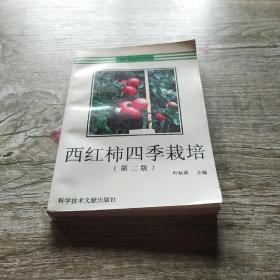 西红柿四季栽培