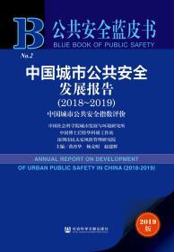 中国城市公共安全发展报告 （2018~2019）      公共安全蓝皮书          黄育华 主编