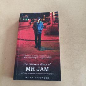 The Curious Diary of MR JAM（英文 原版）