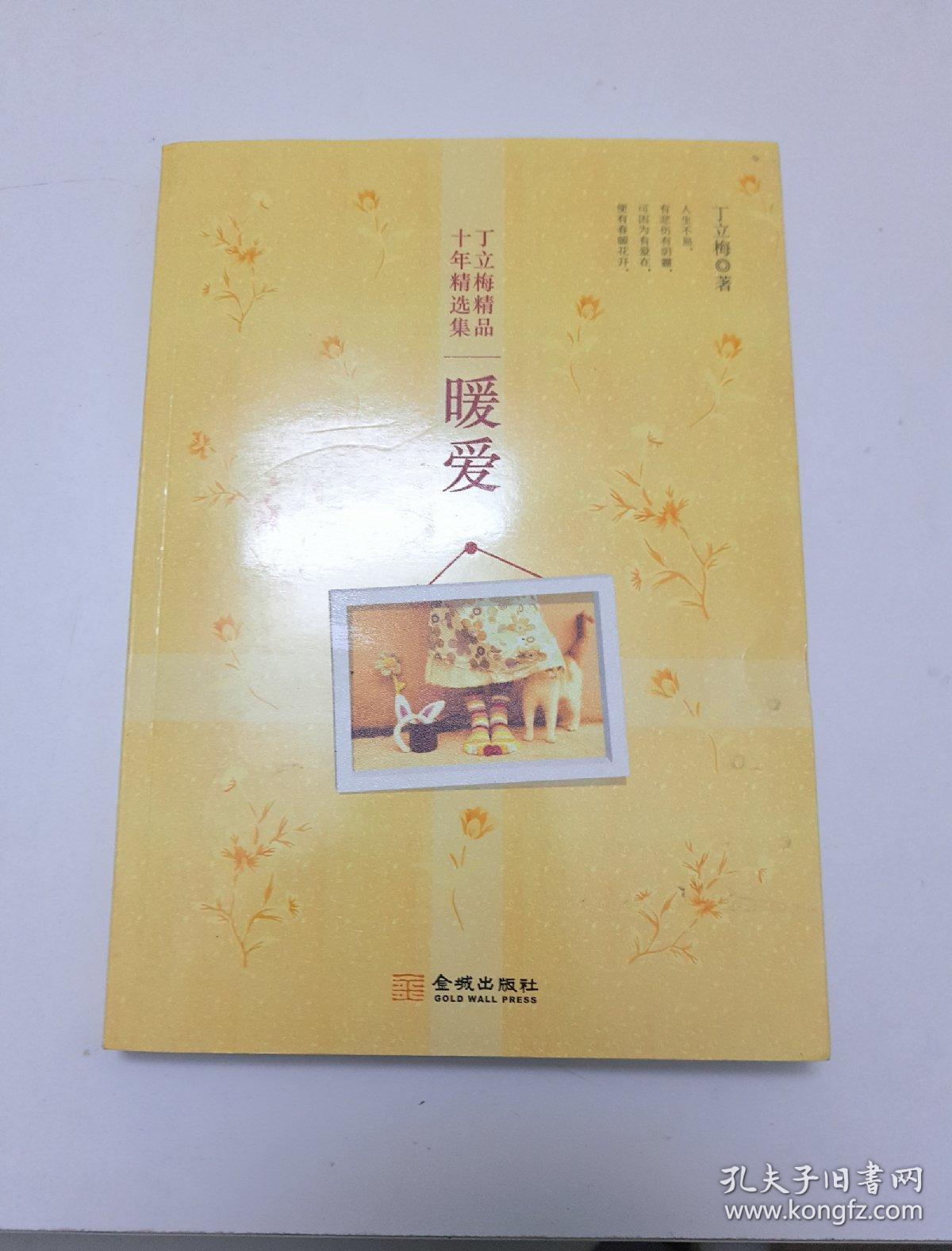 丁立梅精品十年精选集:暖爱