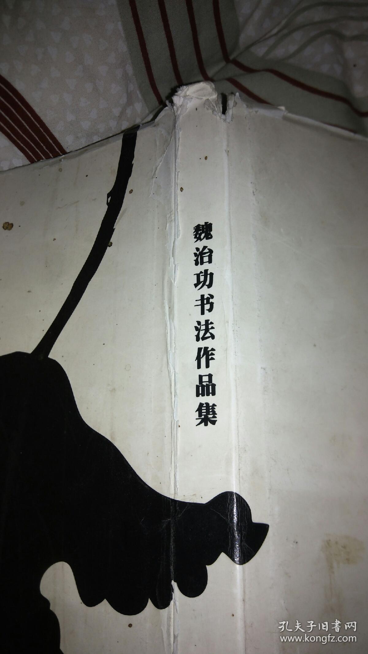 魏治功书法作品集