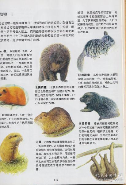 彩图动物百科·下卷:哺乳动物,爬行动物,两栖动物,鱼