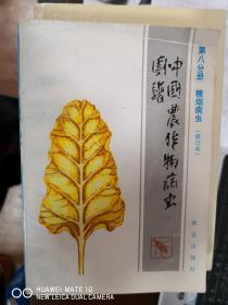 中国农作物病虫图谱（第八分册）：糖烟病虫【南车库】199