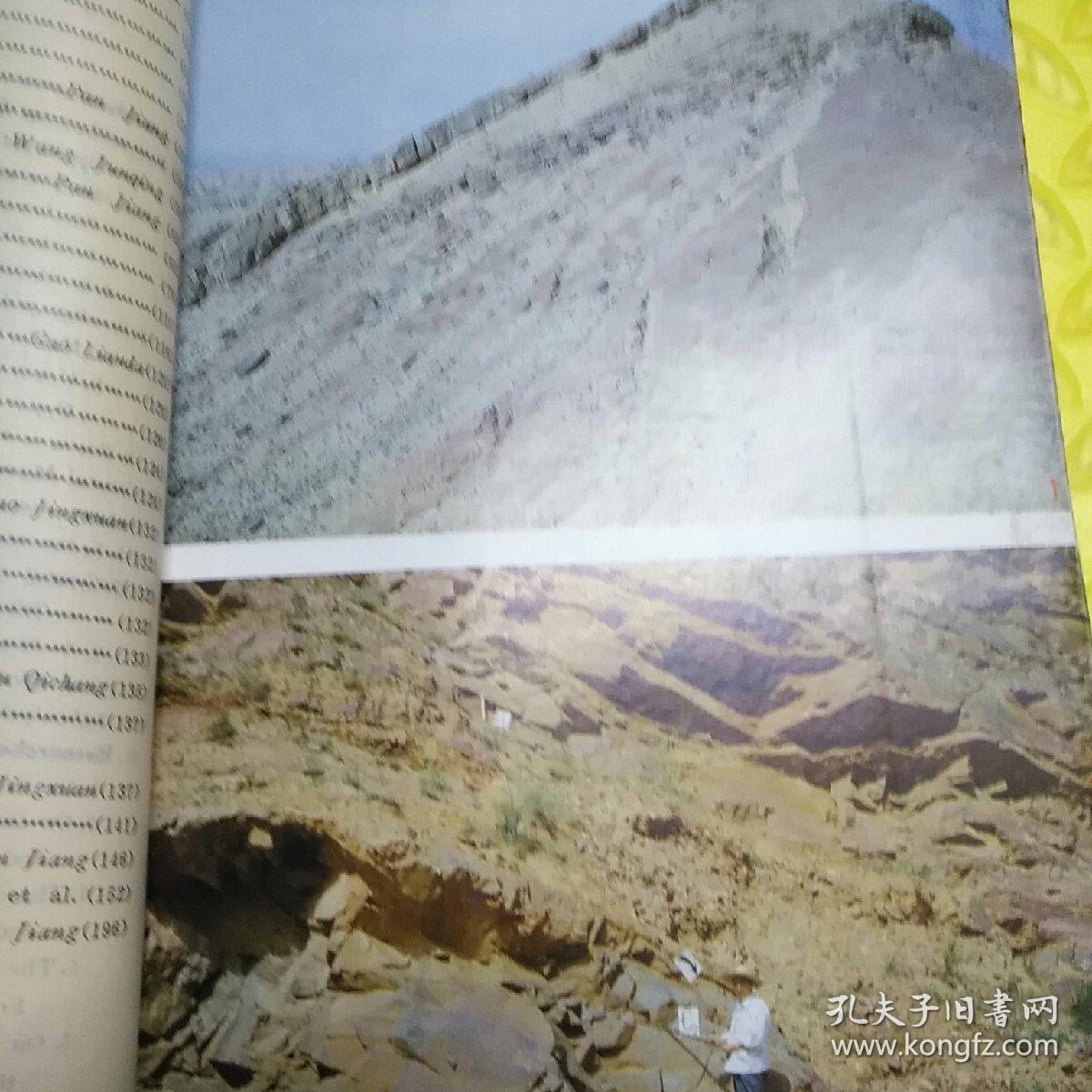 宁夏陆相泥盆系及其生物群