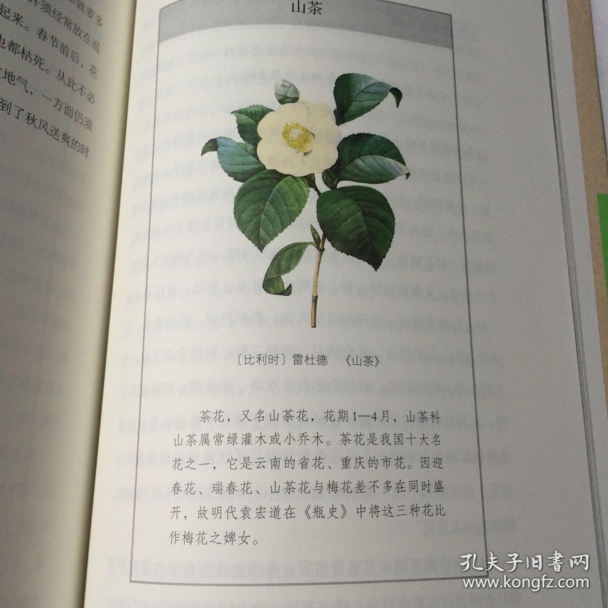莳花志周瘦鹃花卉美文集全彩附送精美牡丹花书签