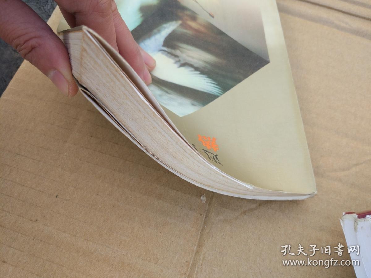 热鸟:金犀牛丛书 迟子建