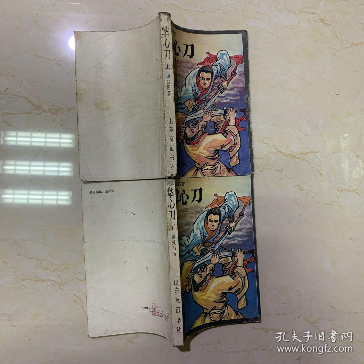 武侠小说:掌心刀上下