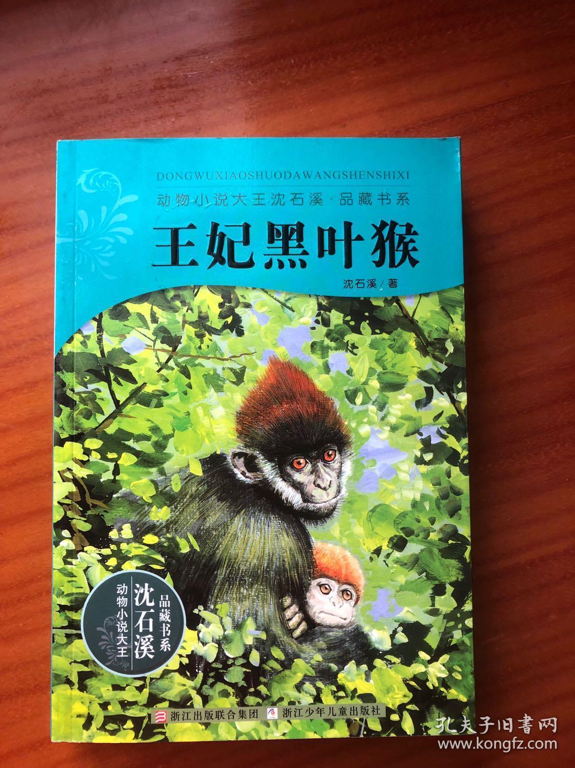 动物小说大王沈石溪:王妃黑叶猴