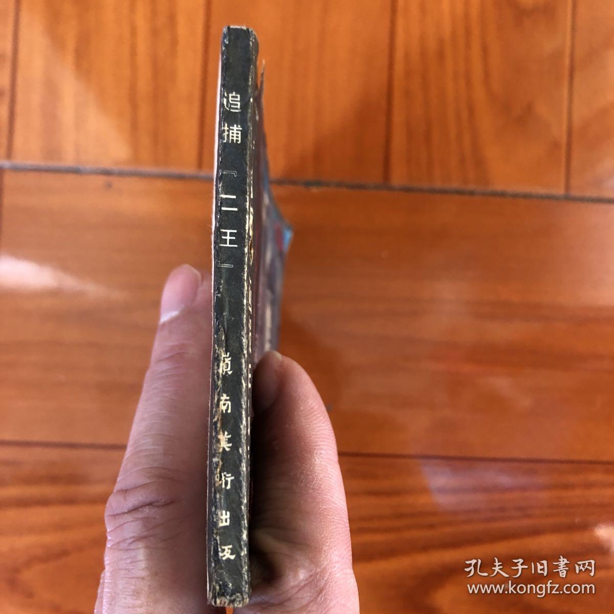 追捕:二王(八十年代震惊中国持枪杀人案件)