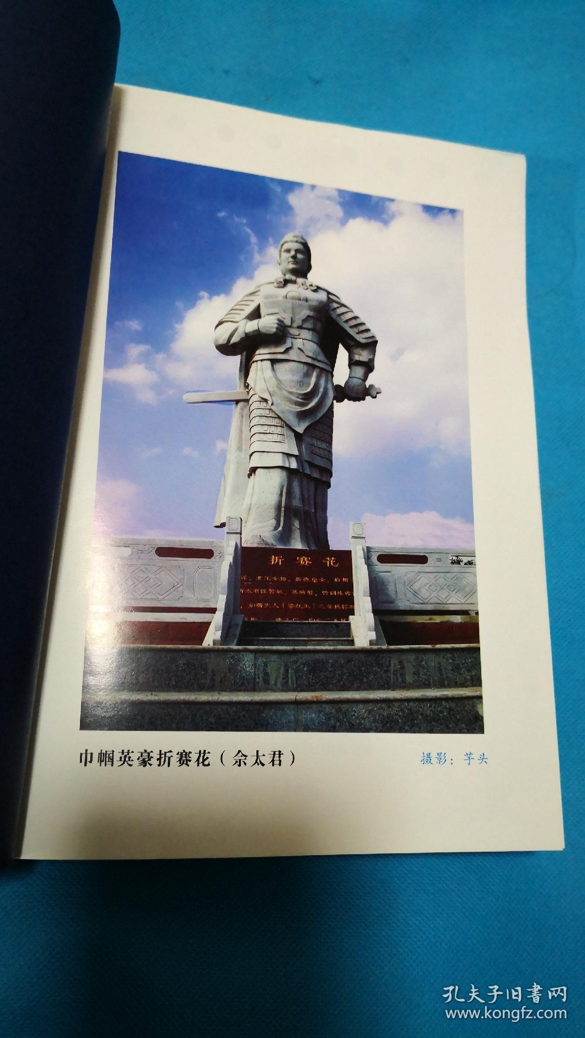 大宋第一女将刘金定传奇评书体章回历史小说七星庙2部合售缺本书