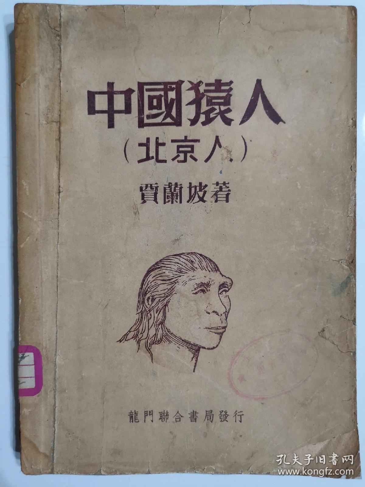 中国猿人(北京人)