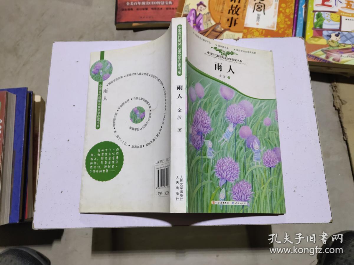 中国当代获奖儿童文学作家书系:雨人