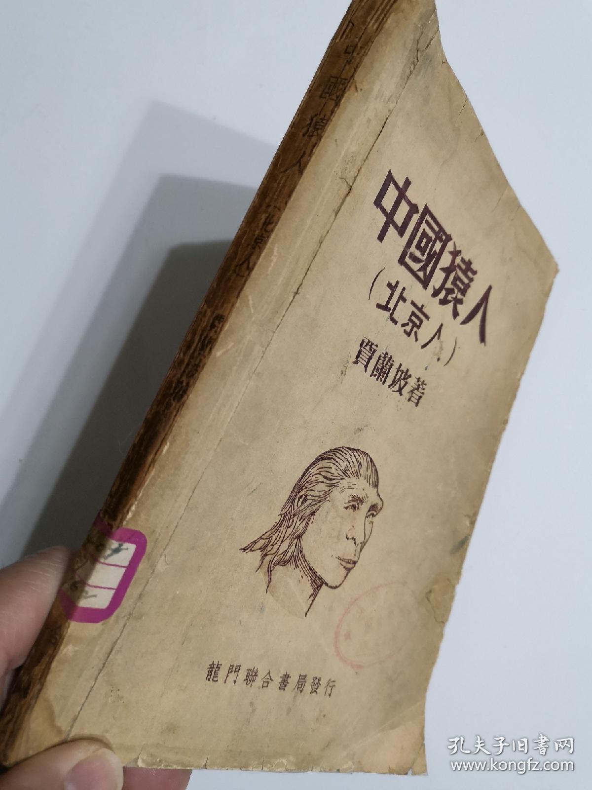 中国猿人(北京人)