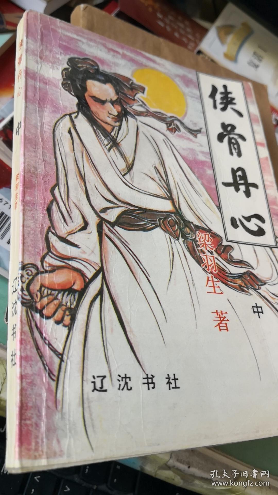 侠骨丹心(中下)