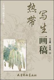 热带写生画稿