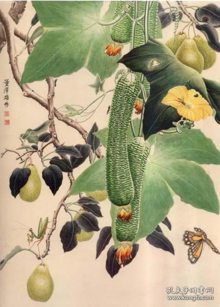 董丝瓜作品集 (怎样画工笔皱皮丝瓜)