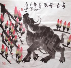 浙江名家  鲁光 花鸟斗方 （春色无限）手绘国画