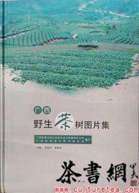 茶书网：《广西野生茶树图片集》