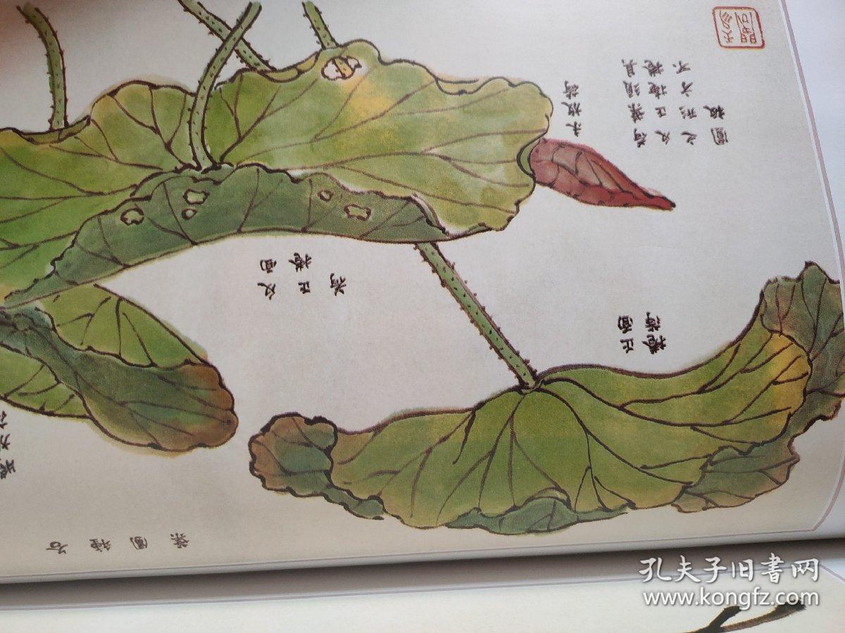 芥子园画谱第一第二第三集全软精装