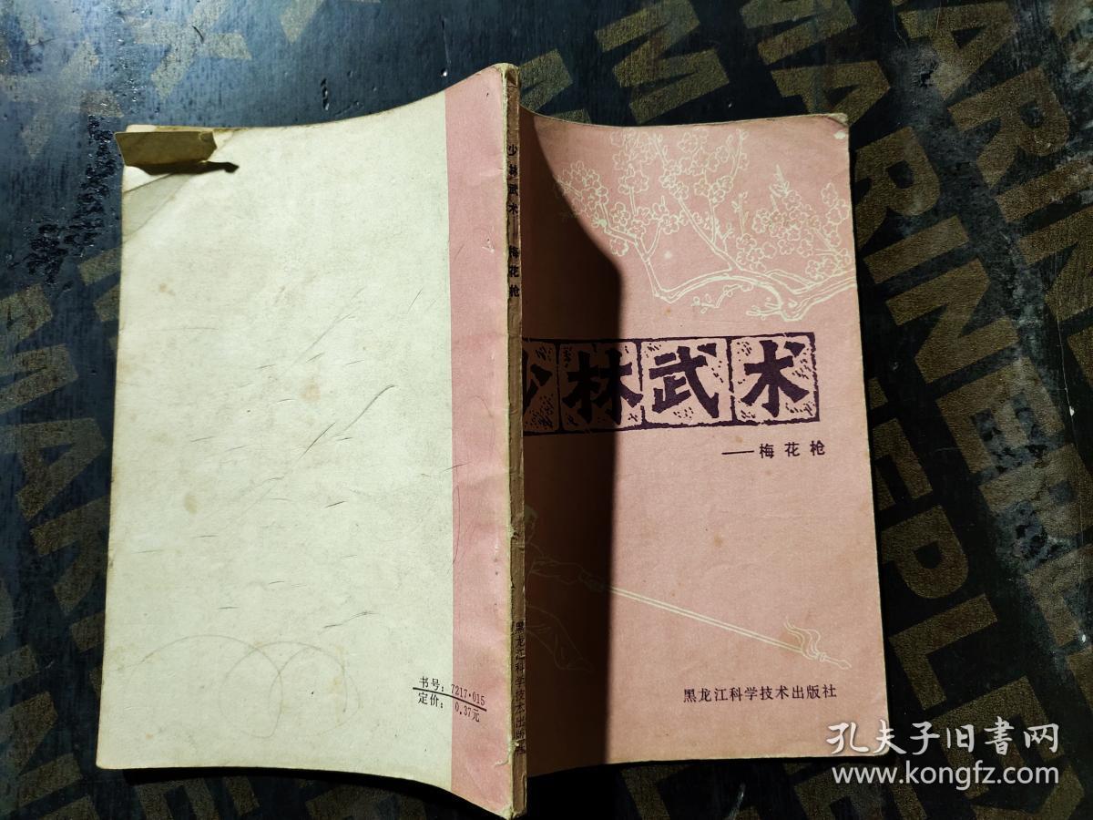 少林武术-梅花枪