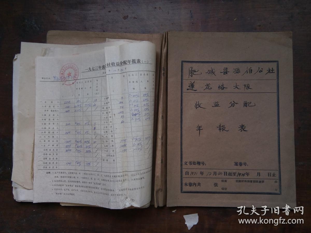 手写肥城县孙伯公社莲花峪大队一九七四年农村人民公社收益分配年报表