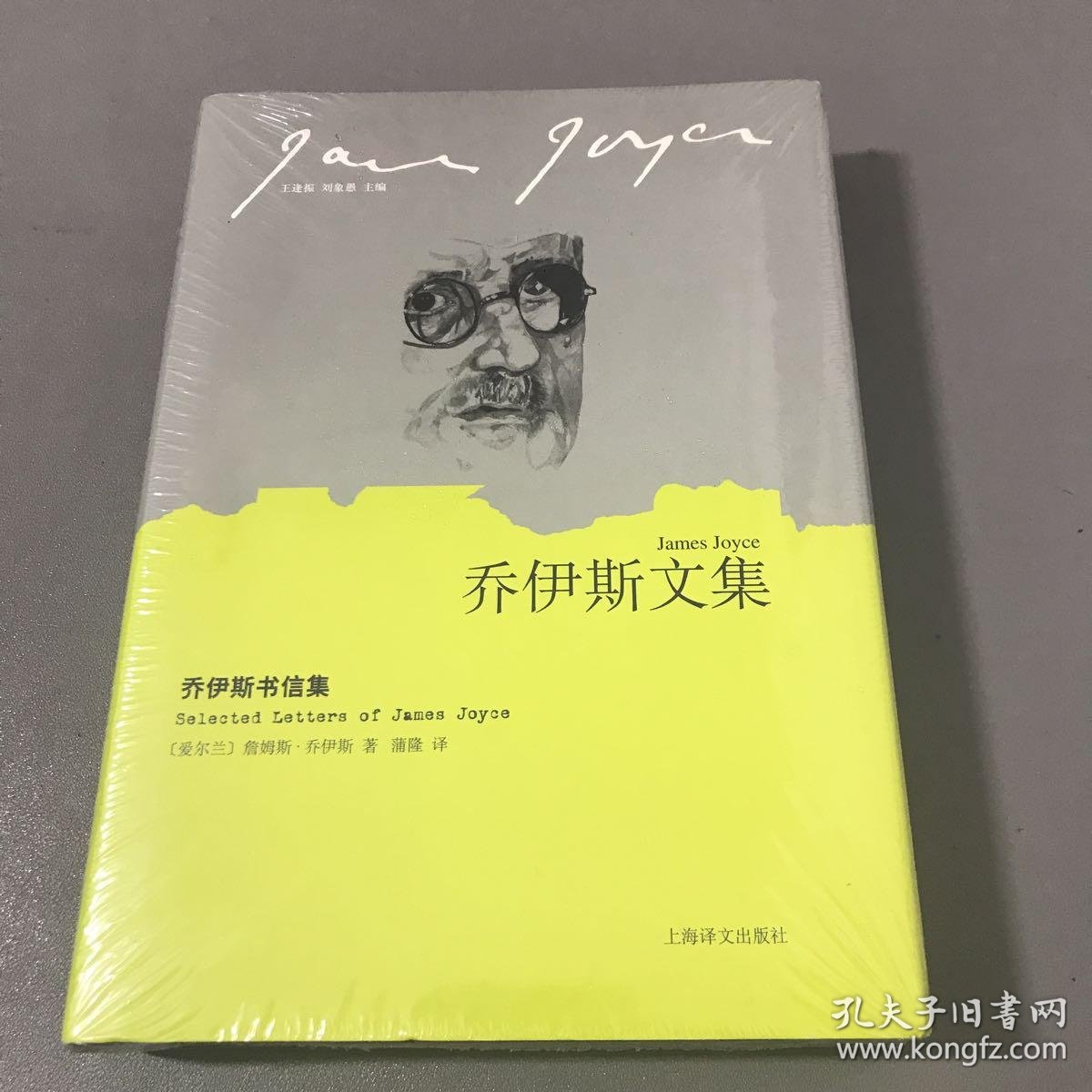 乔伊斯书信集(乔伊斯文集)(【爱尔兰】乔伊斯著/蒲隆译)