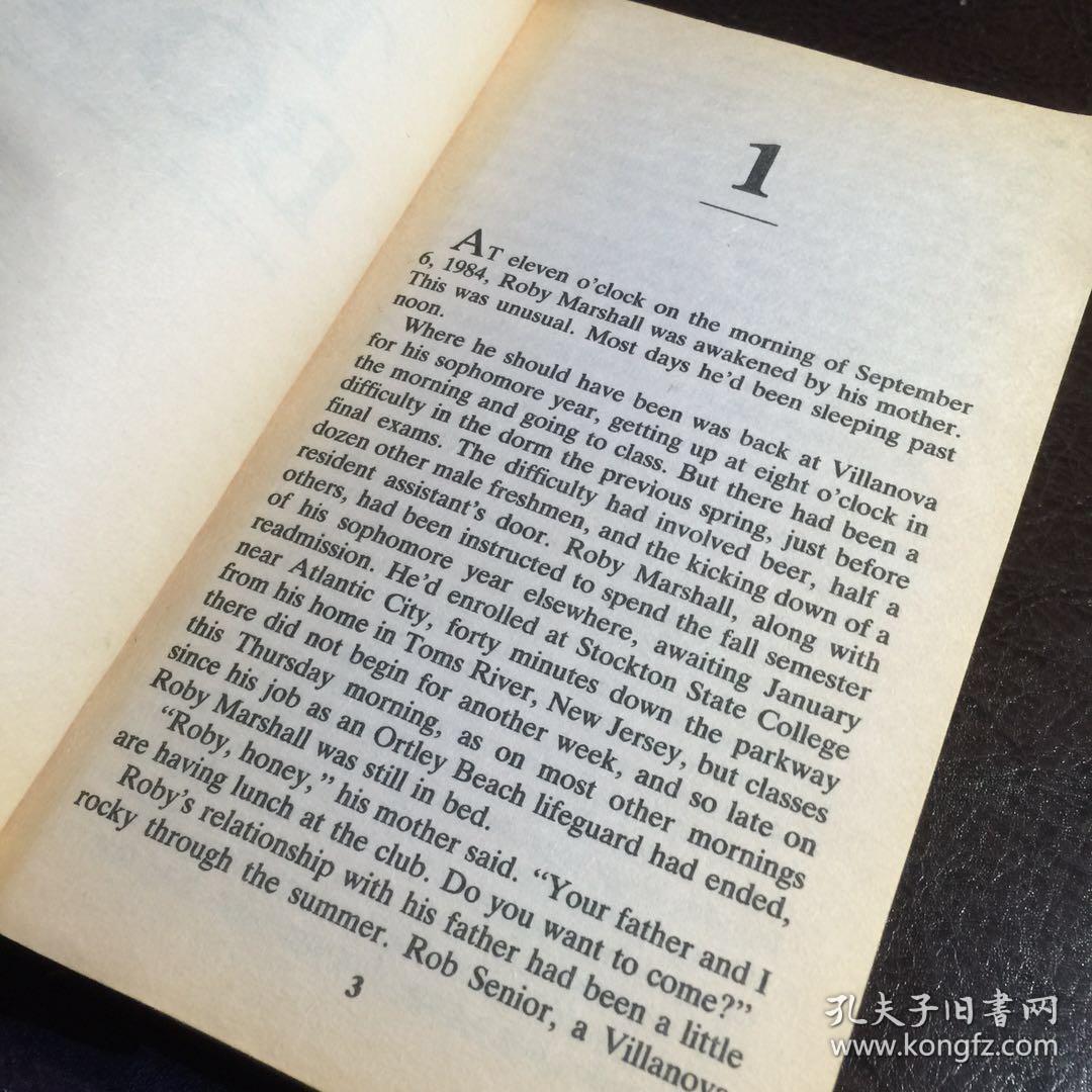 英文原版小说blindfaithbyjoemcginniss包邮