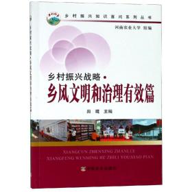 新书--乡村振兴战略:乡风文明和治理有效篇