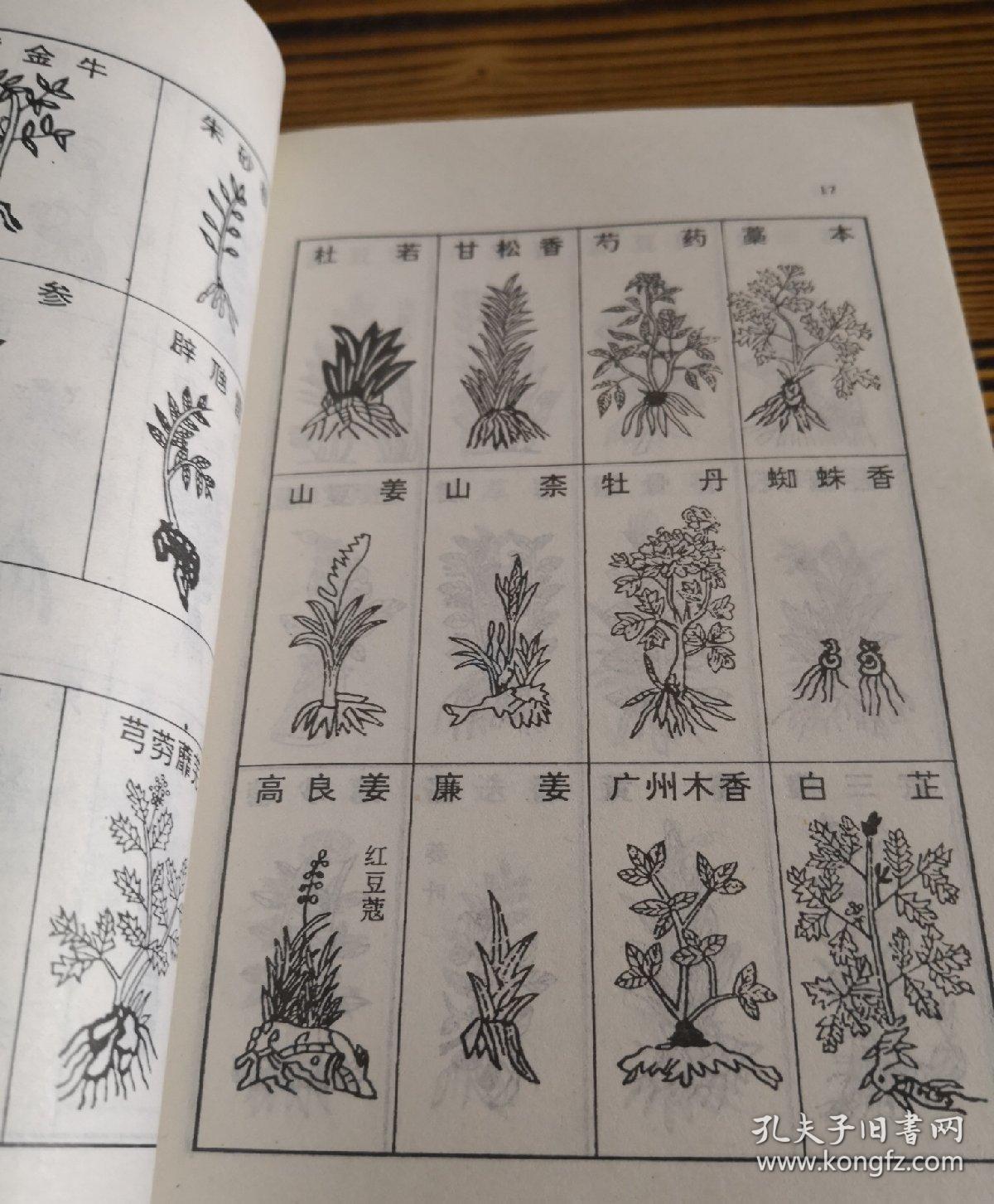 本草纲目(全本)上册