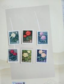 T93月季花邮票（全六枚）