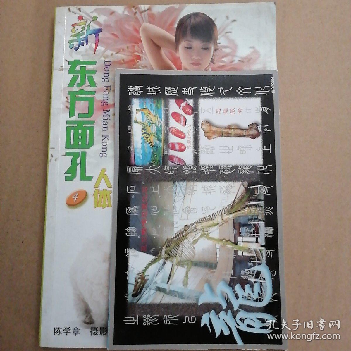 新东方面孔人体摄影4