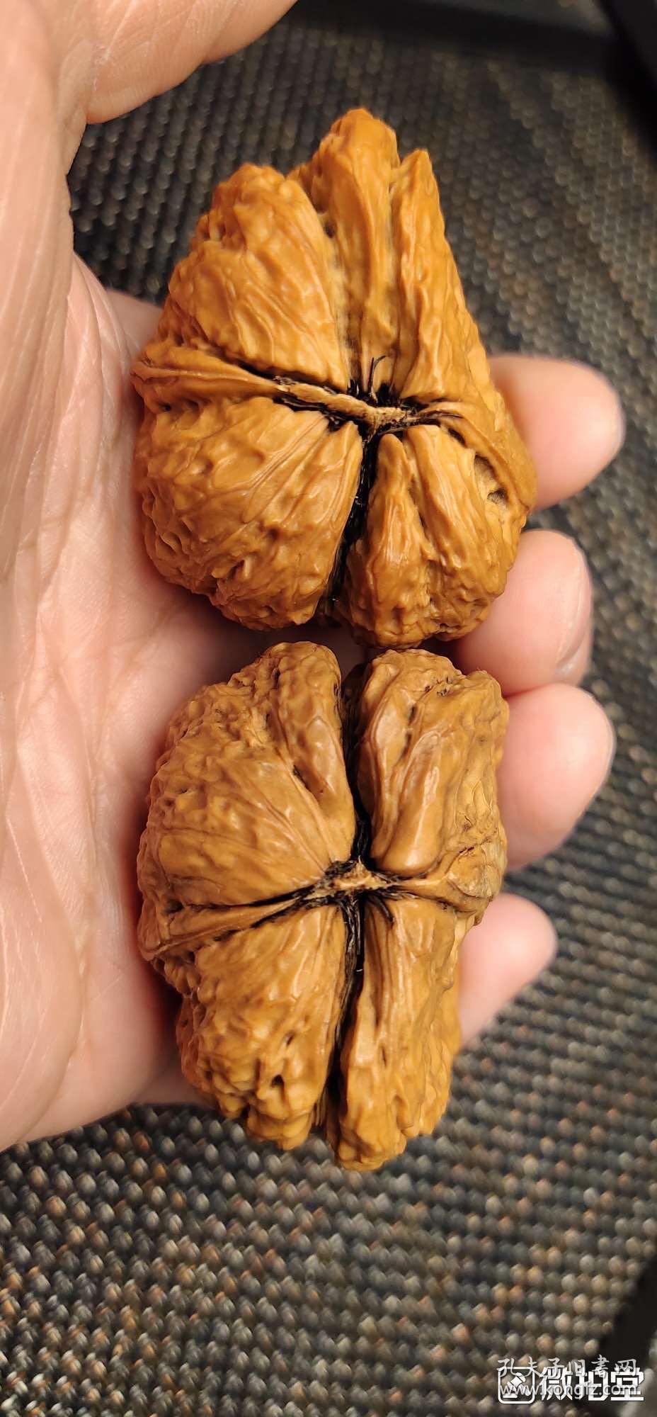 多棱半壁江山文玩核桃